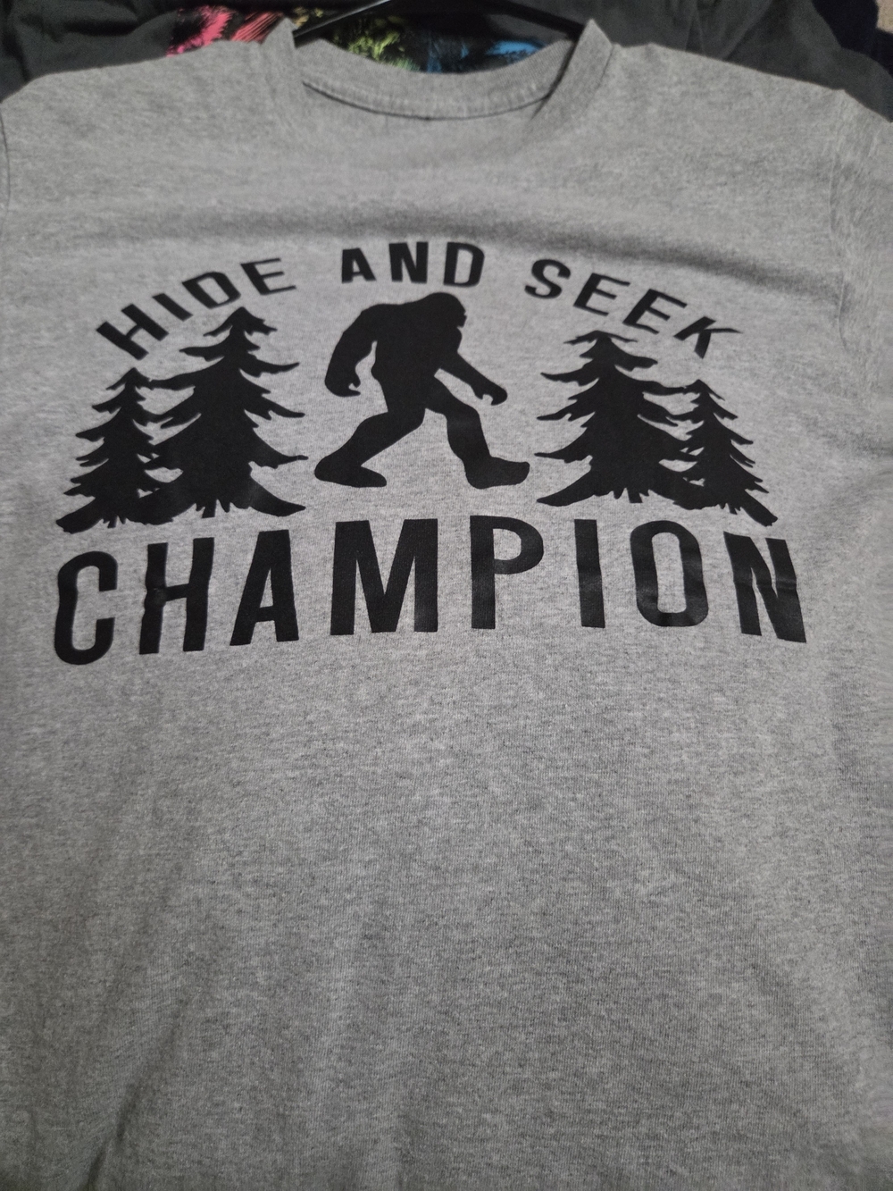 Champion-Style 'Hide and Seek Champion' Men's Grey Graphic T-Shirt